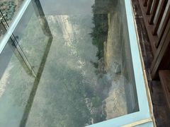 -十渡高山漂流