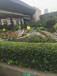 -梦田都市农场(银泰城店)