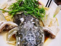 -贤鲁岛贤溪农庄
