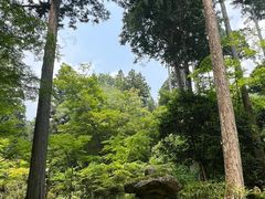 -三千院