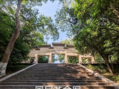 -灵谷景区