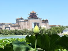 -莲花池公园