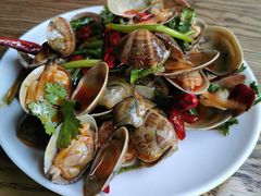 -潮庭·大连海鲜·炭火烧烤·扇贝王(大连店)
