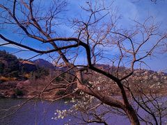 -青岛大珠山景区