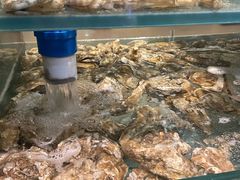 -壹家水货·小海鲜