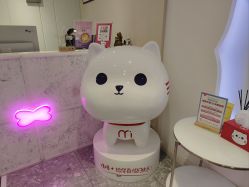 -咪咪专业脱毛连锁机构