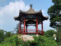 -大兴滨河森林公园