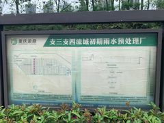 -重庆彩云湖湿地公园