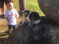 -泉州海丝野生动物世界