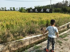 -嘉北郊野公园