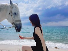 -玫瑰海岸文化旅游度假区