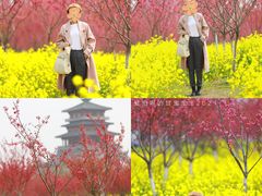 -古柏渡飞黄旅游区