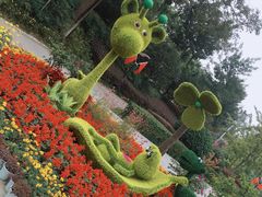 -成飞公园