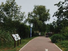 -桤木河湿地公园