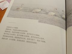 -矢量咖啡(万象汇店)