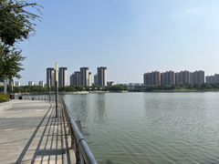 -映月湖中央公园