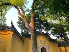 -灵岩山风景区