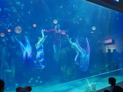 -邯郸海洋世界