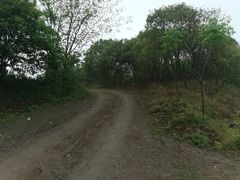 -南京市江宁方山