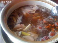 锅底-东巴谷野生菌火锅餐厅