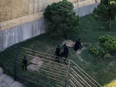 -大连森林动物园