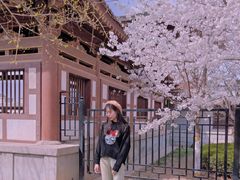 -西安青龙寺遗址景区