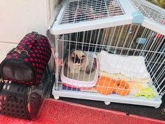 -朱洪元苏式面馆(绿宝广场店)