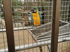 -南宫五洲植物乐园