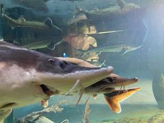 -波塞冬旅游度假区