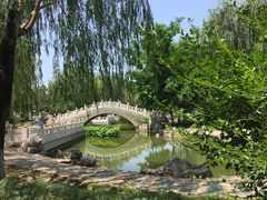 -丰台科技园生态主题公园
