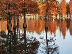 -白鹭湾湿地公园