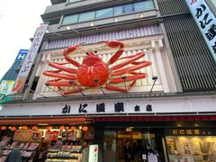 -蟹道乐(道顿堀本店)