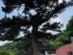-妙峰山风景名胜区