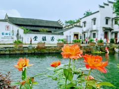 -东梓关景区村庄