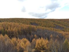 -塞罕坝国家级自然保护区