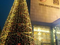 -东方红海鲜百汇(国际大厦店)