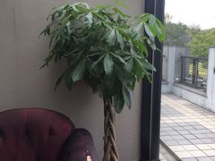 -御花园·粤菜·海鲜火锅(中山公园店)