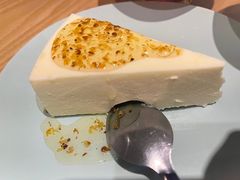-古树酸奶(八廓南街店)