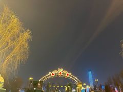 -武汉知音号