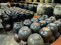 -清水湖度假村(罗浮山美食地标店)