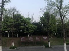 -金海湾滨江公园