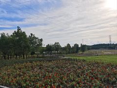 -永定河休闲森林公园
