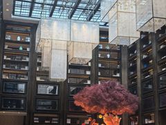 -行者书屋大堂吧 ·下午茶(南京圣和府邸酒店)