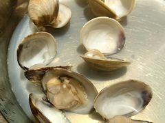 -青蓬海上捞蒸品海鲜城(海岸城店)