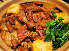 五星牛腩牛杂煲-牛腩之旅·牛腩牛杂煲(光启城美食城店)
