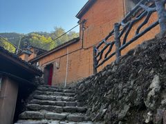 -杨家堂村