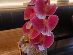 -江户前寿司·日料·寿喜烧(中关村壹号店)
