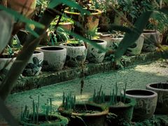 -成都杜甫草堂博物馆
