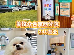 -美联众合动物医院·24h京西诊疗中心