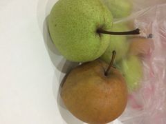 iphone_upload_pic-祥源·阜阳生态乐园